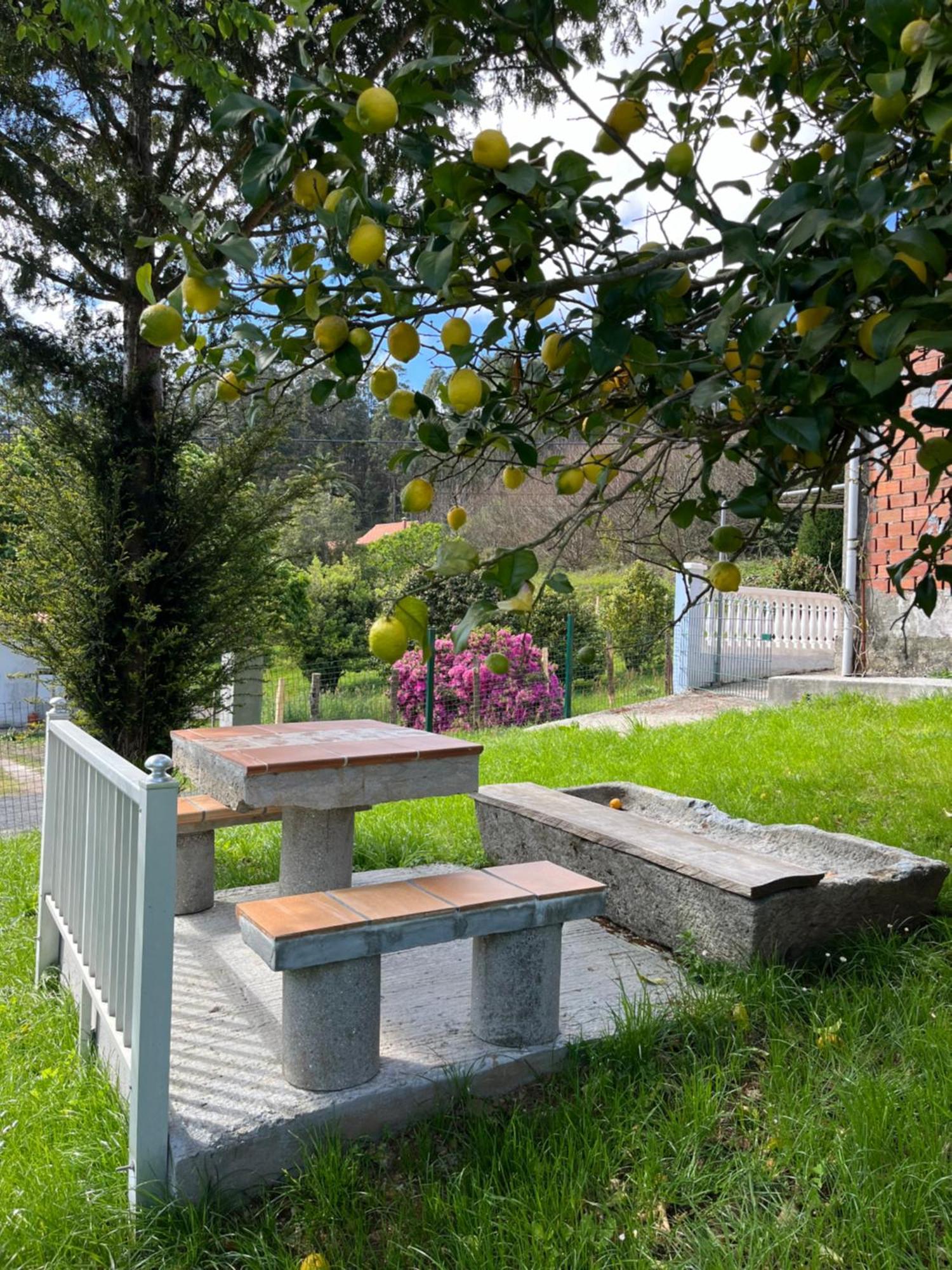 Casa Marina Villa San Martín Eksteriør bilde